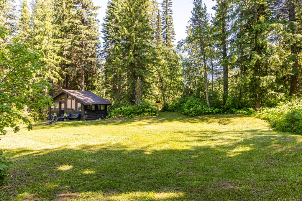 A secluded cottage nestled in a pine forest, surrounded by a vacant grassy area. The small house has a covered porch and a...